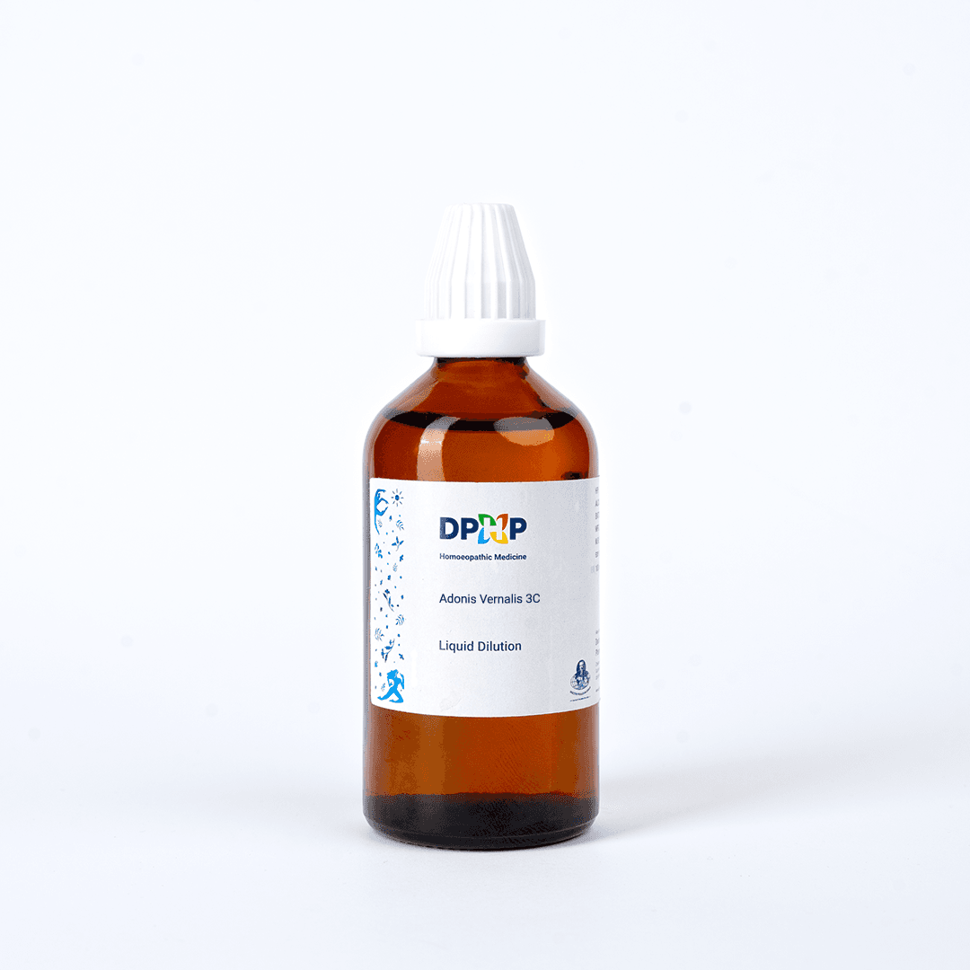 Adonis Vernalis