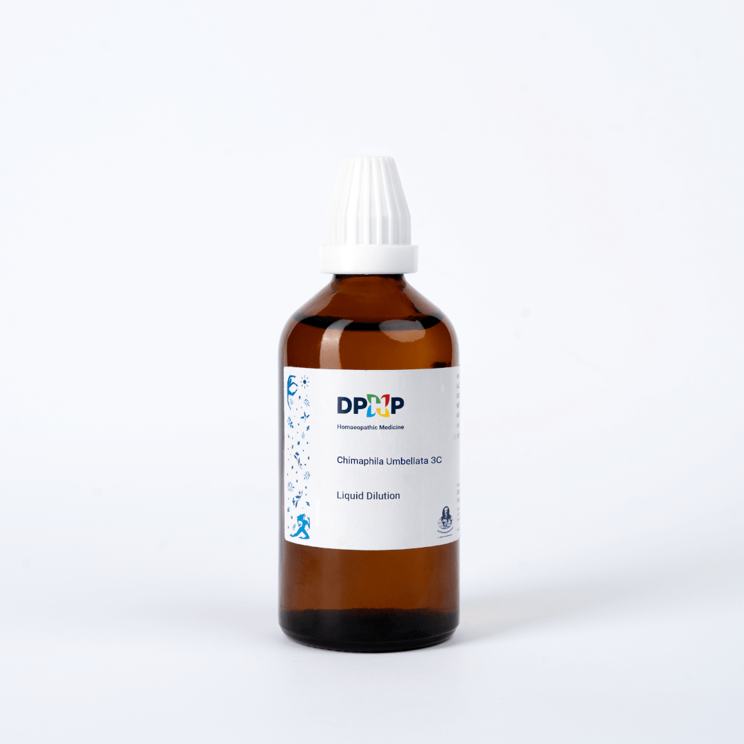 Chimaphila Umbellata