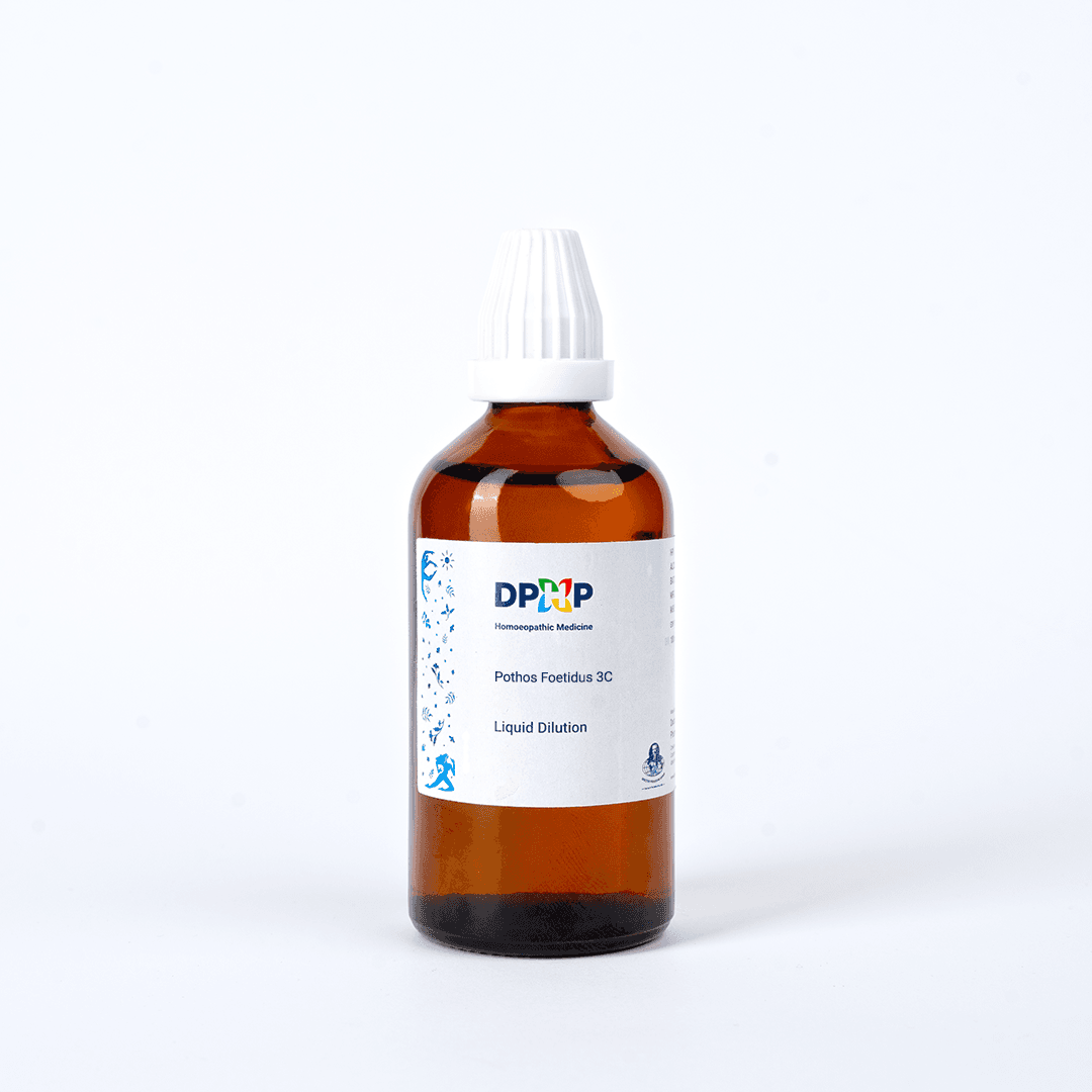 Pothos Foetidus