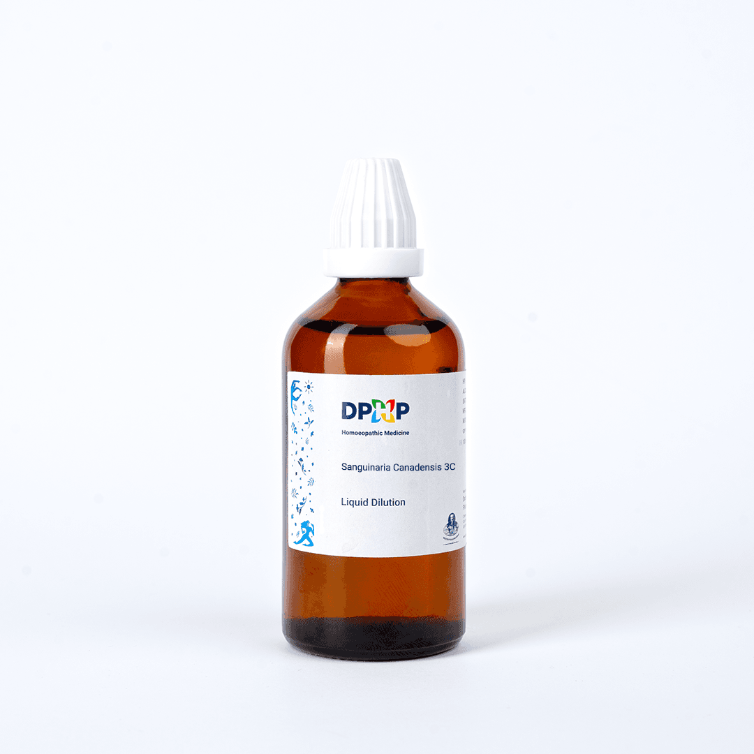 Sanguinaria Canadensis