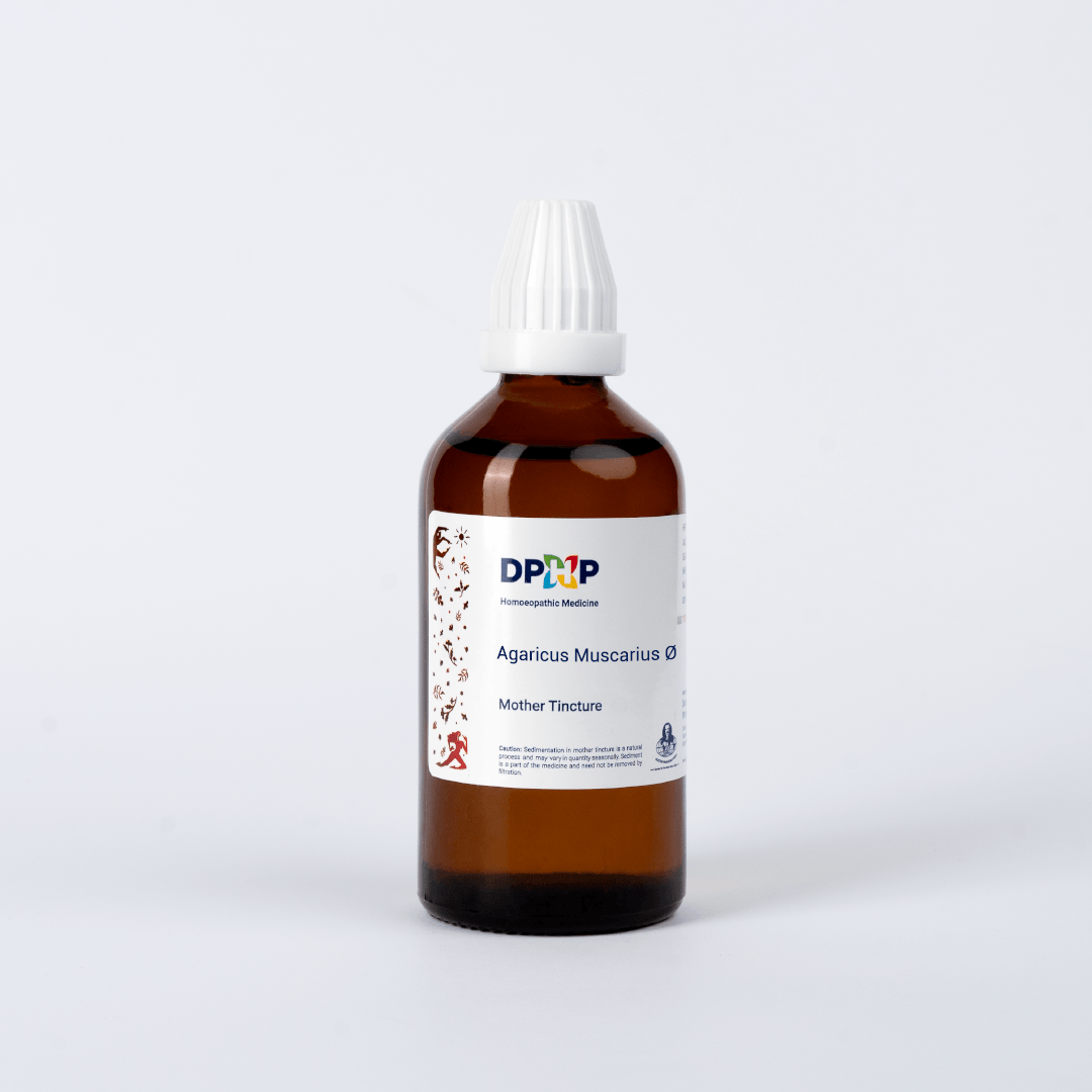 Agaricus Muscarius  (MT)