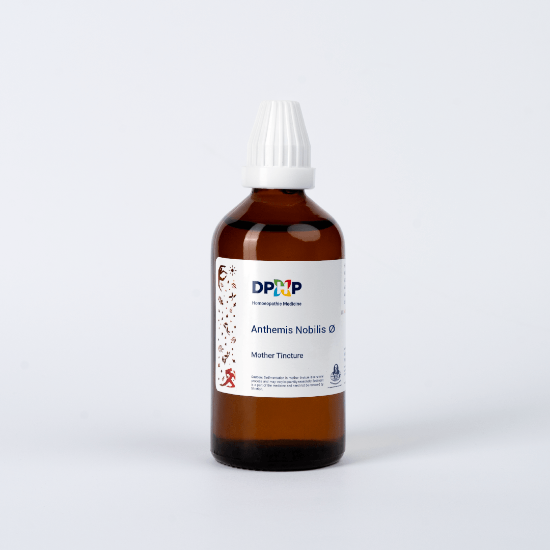 Anthemis Nobilis  (MT)