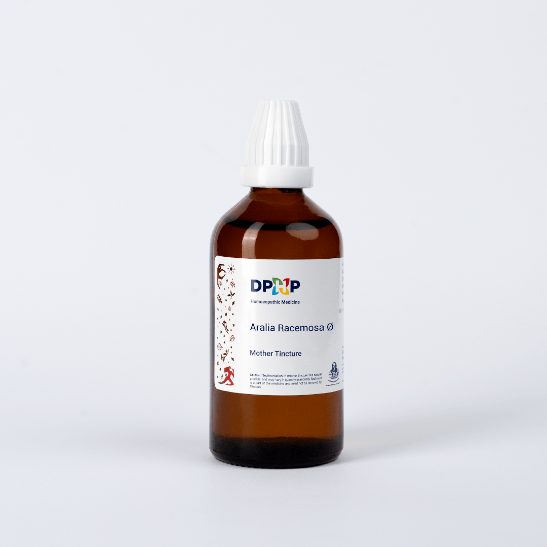 Aralia Racemosa  (MT)