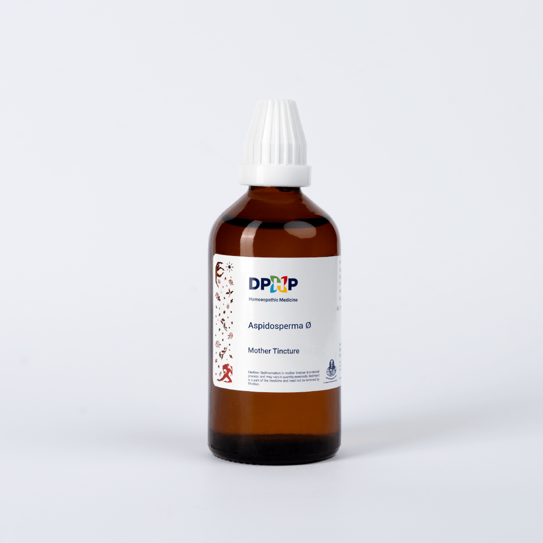 Aspidosperma  (MT)
