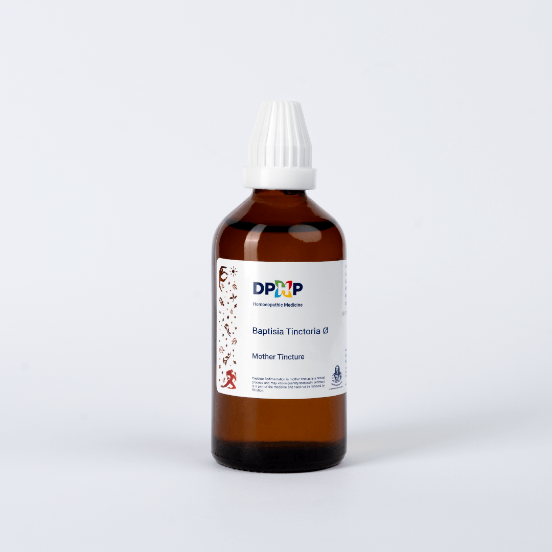 Baptisia Tinctoria  (MT)