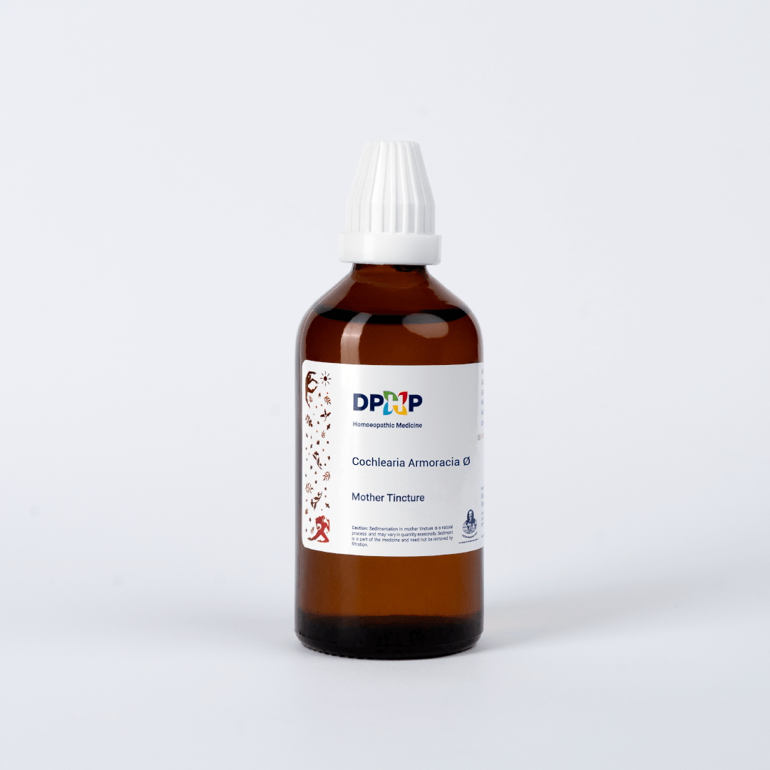 Cochlearia Armoracia  (MT)