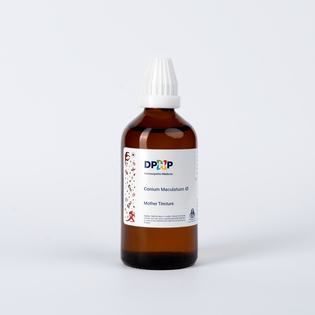 Conium Maculatum  (MT)