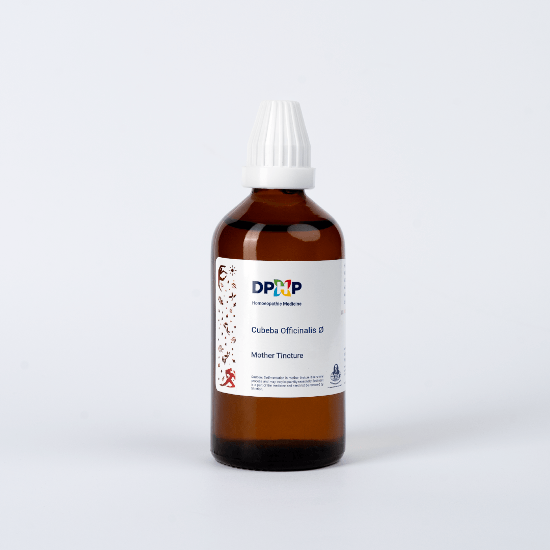 Cubeba Officinalis  (MT)